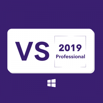 Visual Studio 2019 Professional