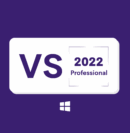 Visual Studio 2022 Professional