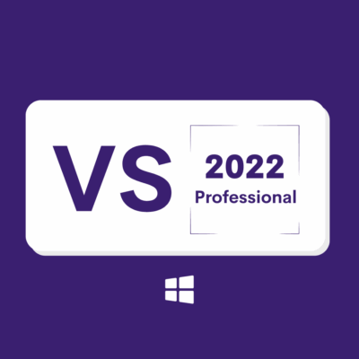 Visual Studio 2022 Professional