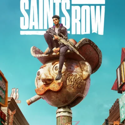 Saints Row - Europe (Steam CD Key)