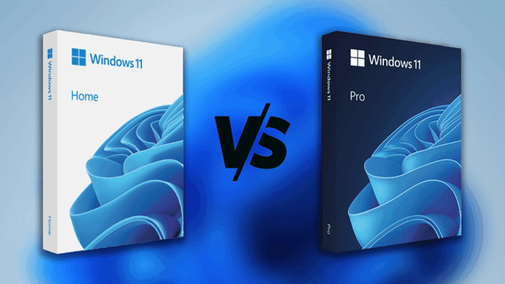 Windows 11 Home Vs Pro - NodeKeys