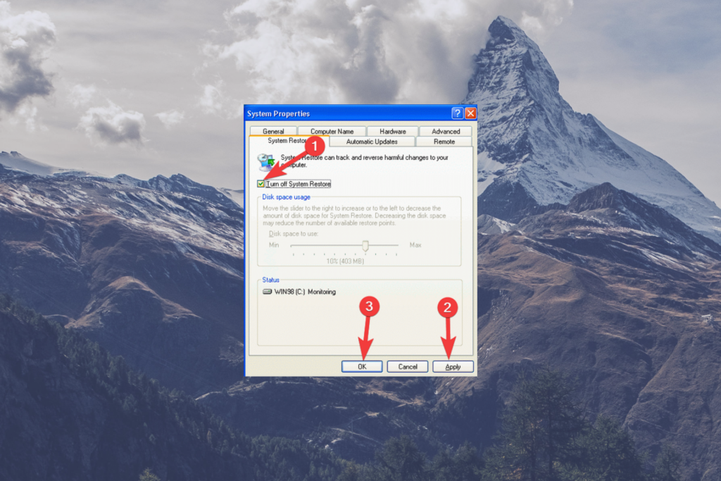 Disable System Restore